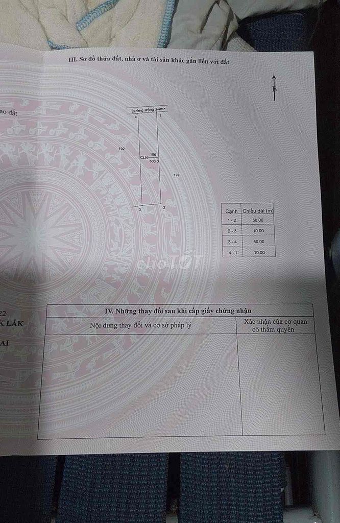 4176962 ảnh đại diện 2