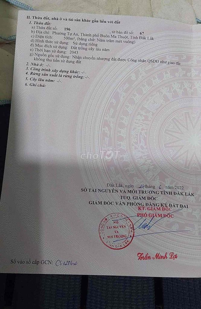 4176962 ảnh đại diện 1