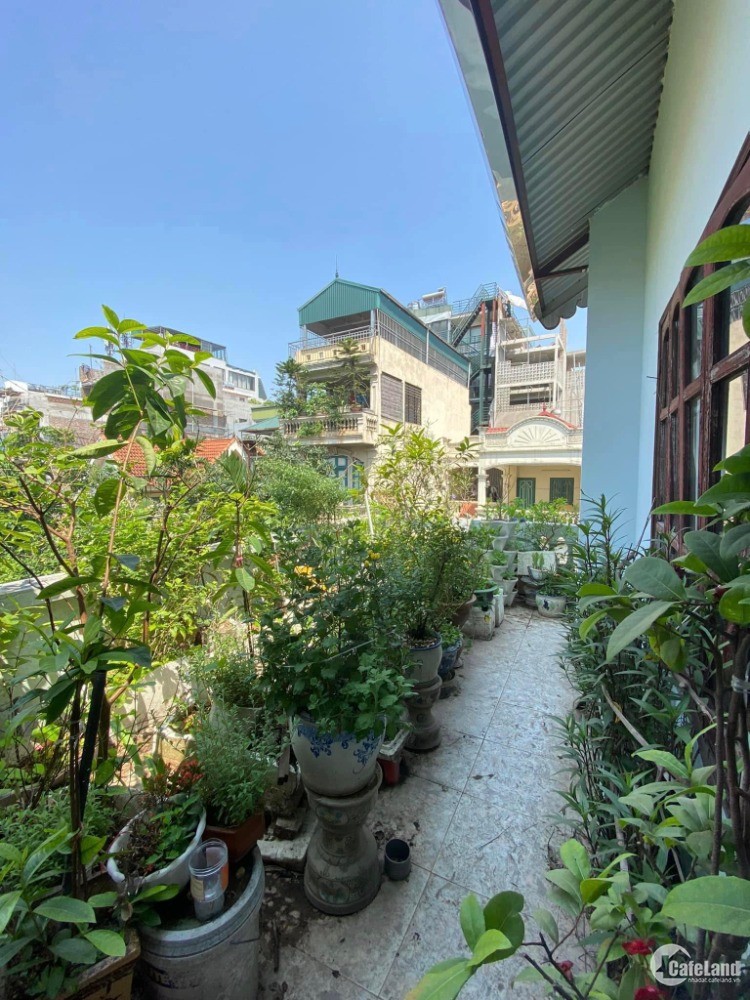 4175835 ảnh đại diện 1