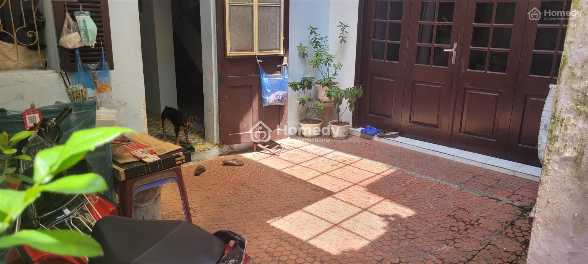 4176417 ảnh đại diện 1