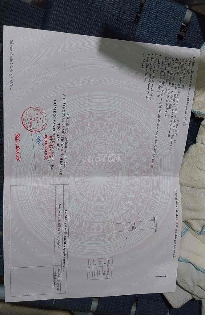 4176962 ảnh đại diện 1