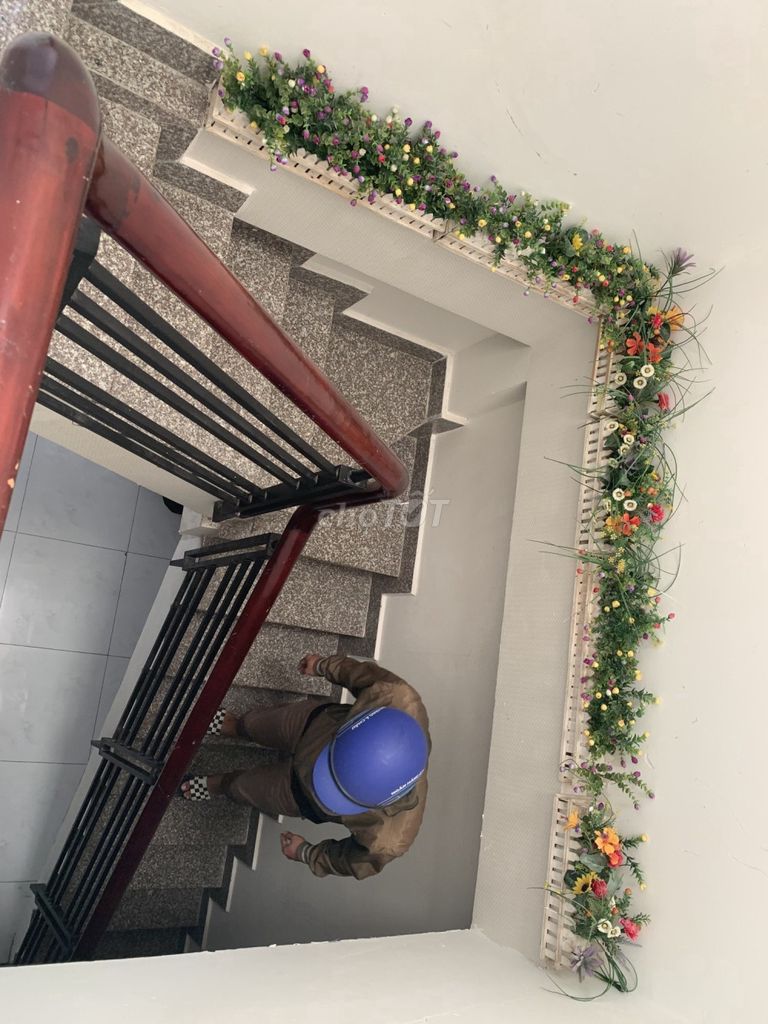 4175904 ảnh đại diện 1