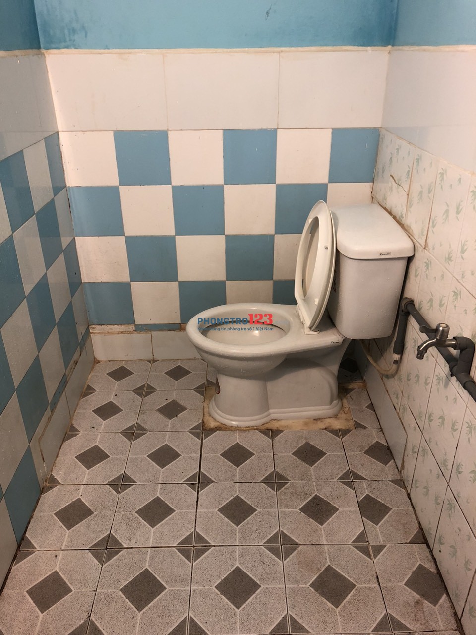 4178474 ảnh đại diện 2