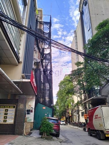 4179906 ảnh đại diện 1