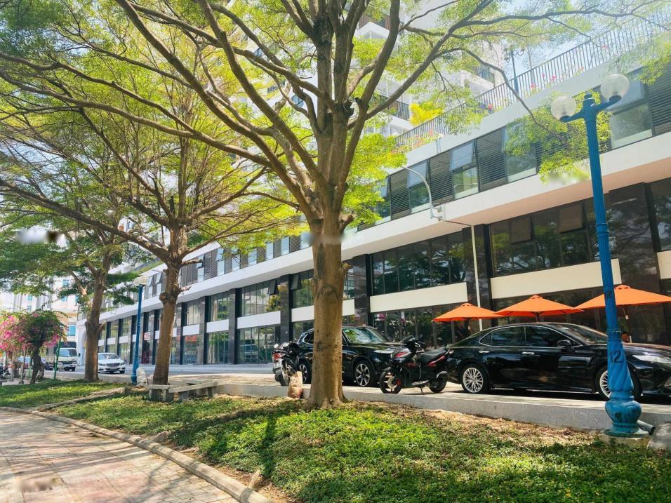 4179510 ảnh đại diện 1