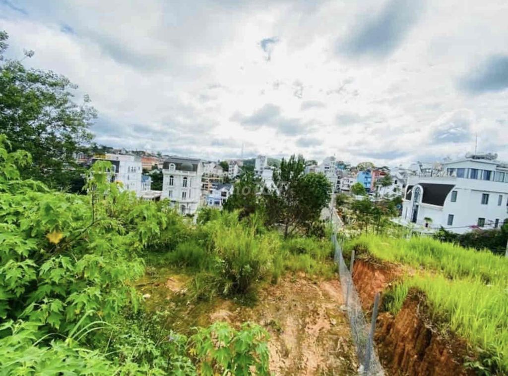 4179804 ảnh đại diện 2