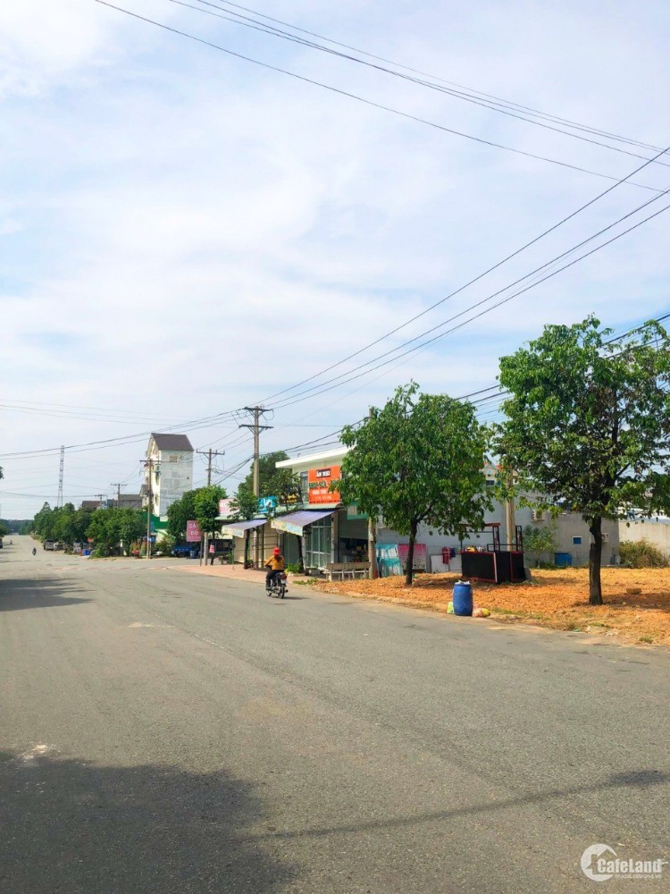 4178903 ảnh đại diện 2