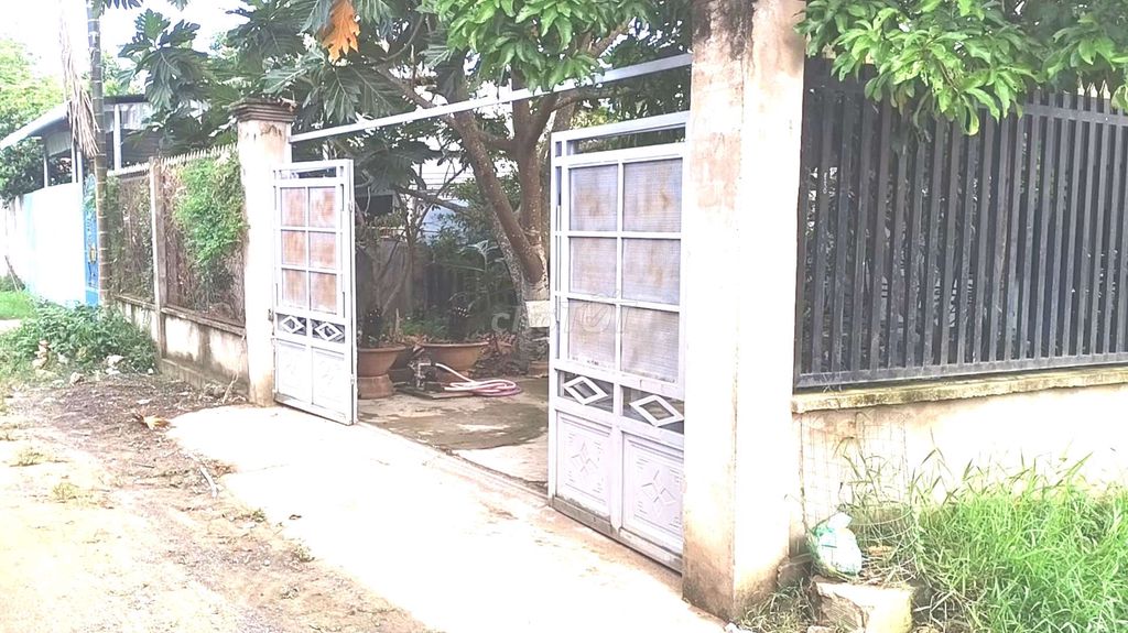 4179055 ảnh đại diện 1