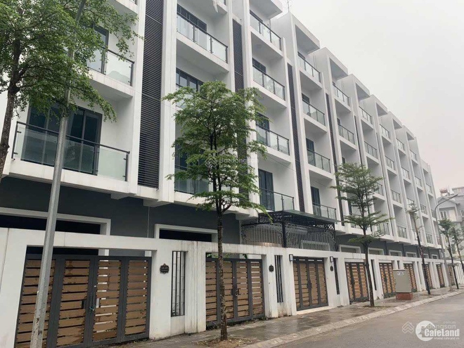 4178499 ảnh đại diện 1