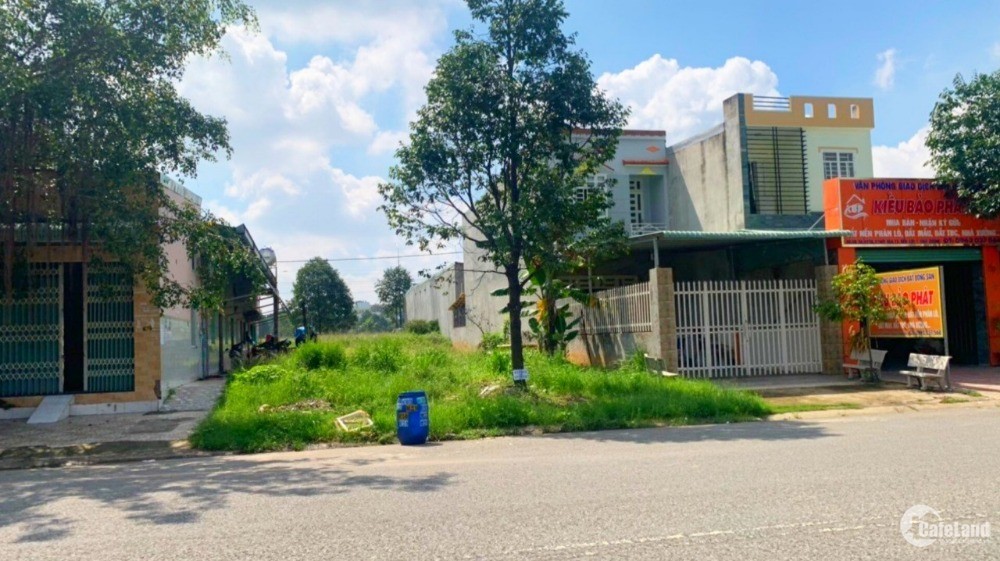 4178903 ảnh đại diện 1
