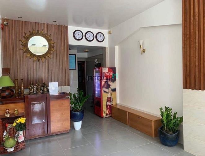 4177822 ảnh đại diện 1