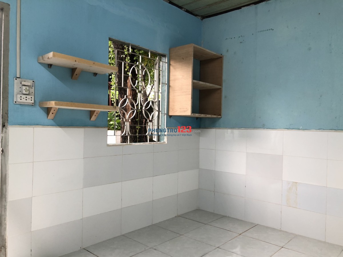 4178474 ảnh đại diện 1