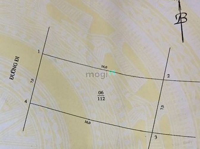 4179906 ảnh đại diện 1