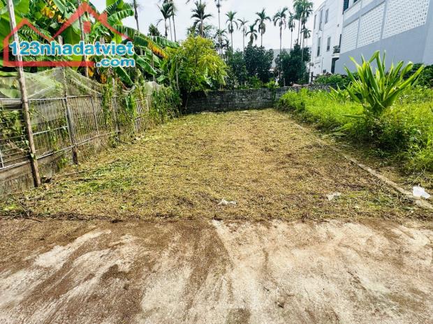 4179422 ảnh đại diện 1
