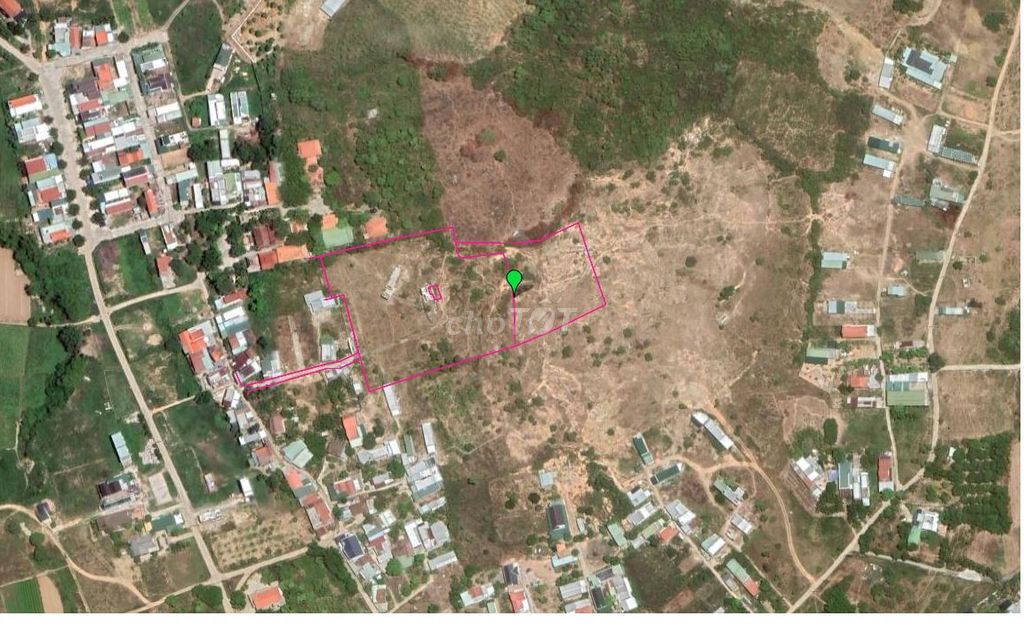 4179359 ảnh đại diện 1