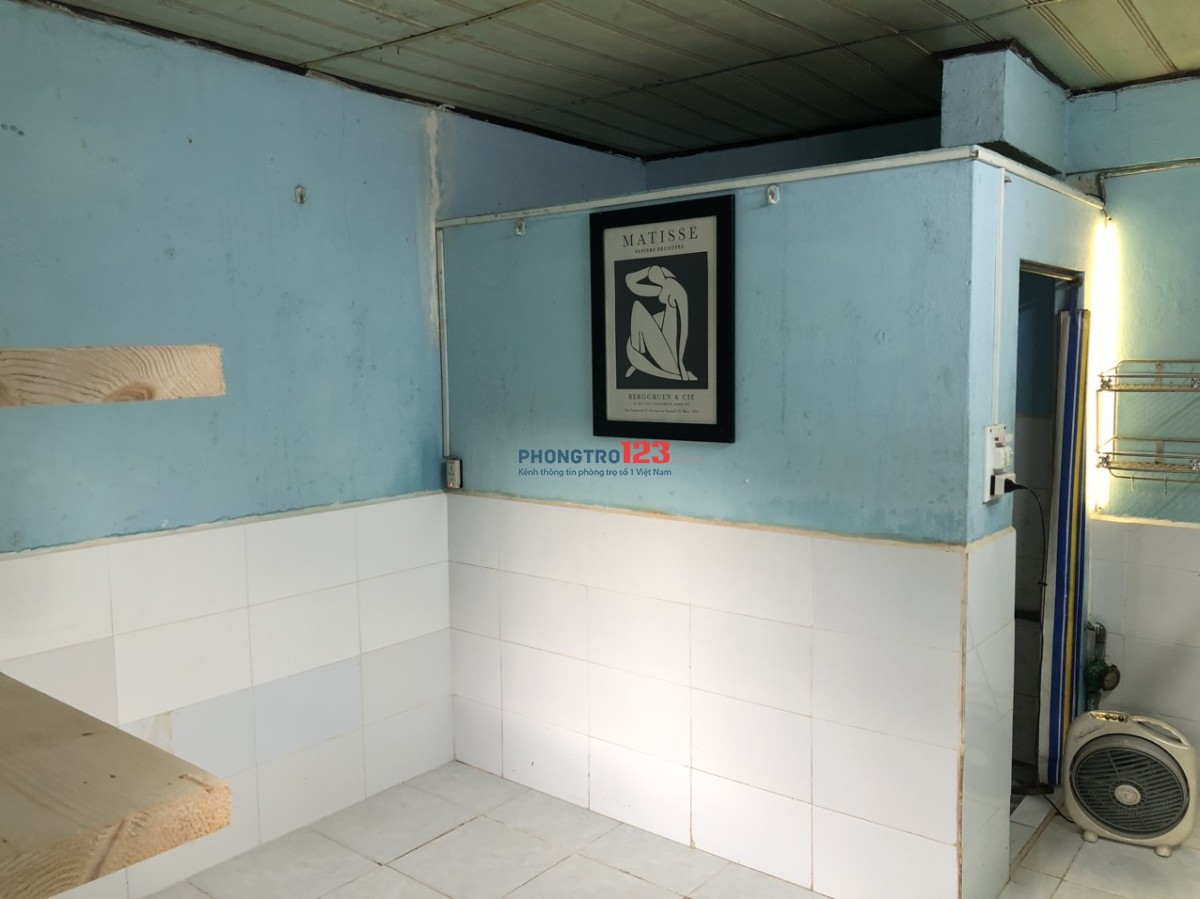 4178474 ảnh đại diện 1