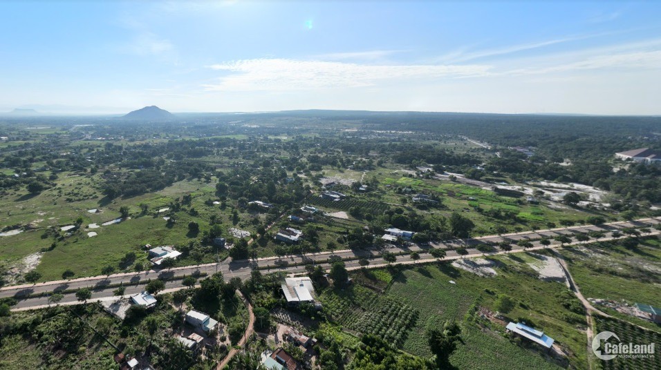 4181009 ảnh đại diện 2