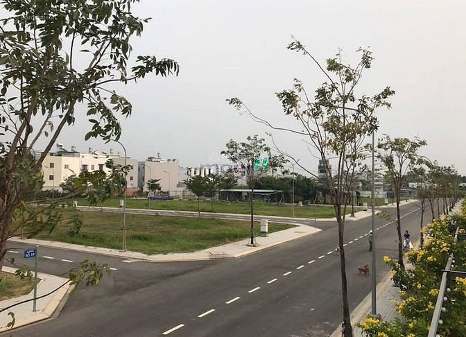 4183260 ảnh đại diện 1