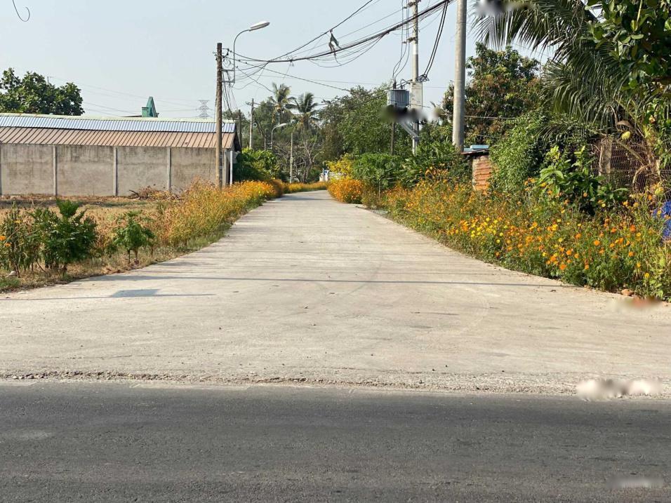 4182636 ảnh đại diện 1