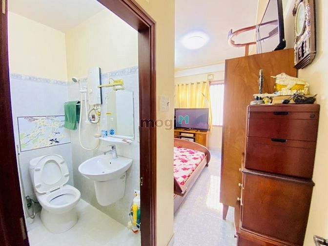 4183161 ảnh đại diện 1