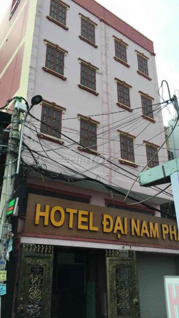4181939 ảnh đại diện 1