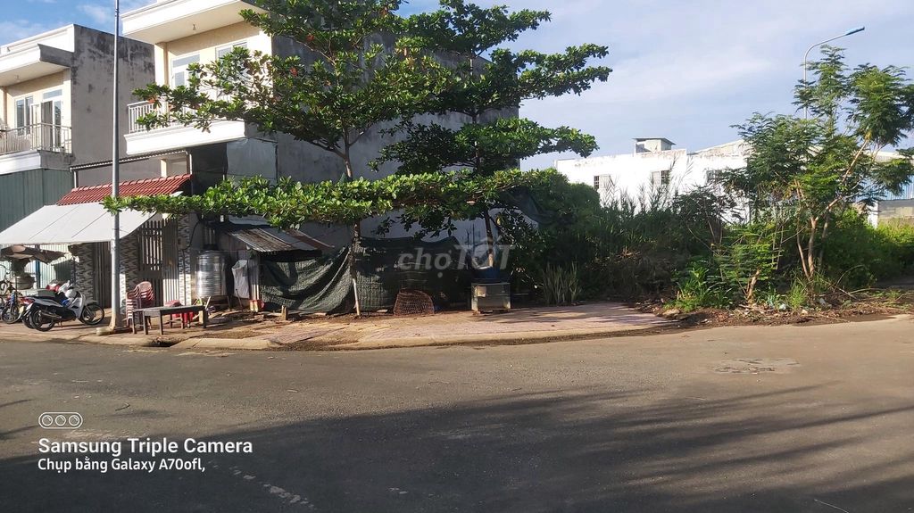 4182687 ảnh đại diện 2