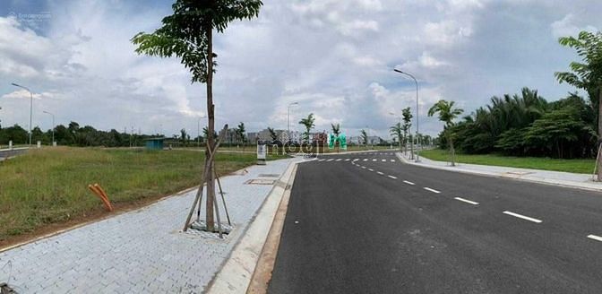 4183260 ảnh đại diện 1