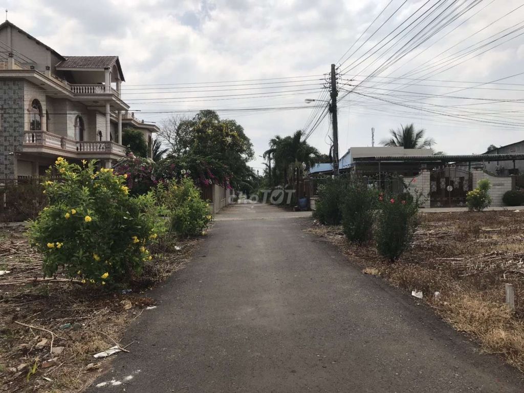 4182091 ảnh đại diện 1
