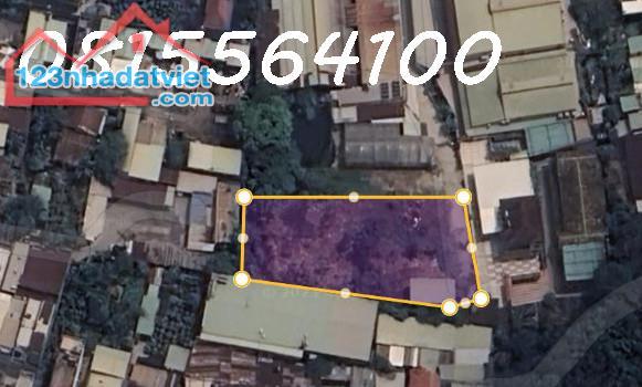 4183741 ảnh đại diện 2
