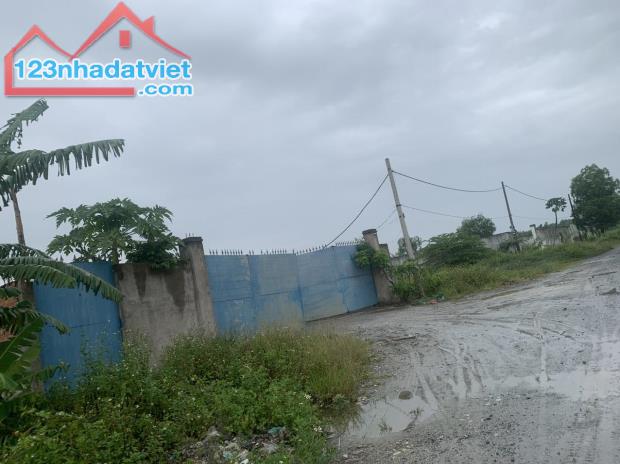 4183748 ảnh đại diện 2