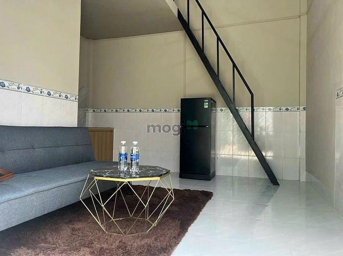 4186239 ảnh đại diện 1
