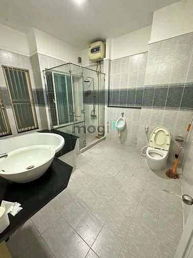 4184975 ảnh đại diện 1