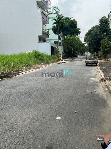 4185688 ảnh đại diện 1