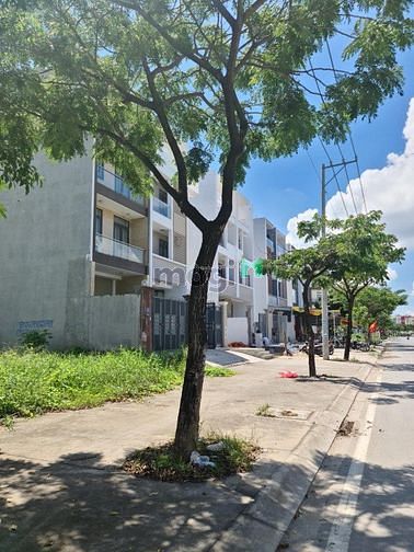 4186123 ảnh đại diện 1