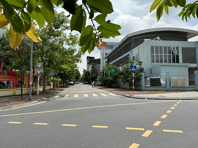 4184732 ảnh đại diện 1