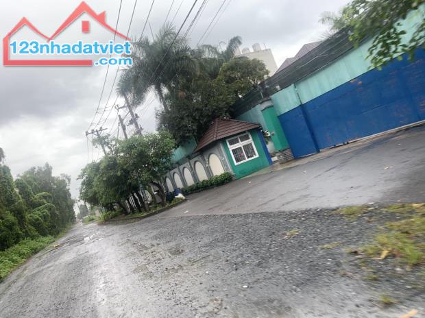 4183748 ảnh đại diện 1
