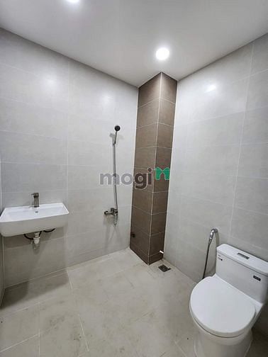 4184740 ảnh đại diện 2