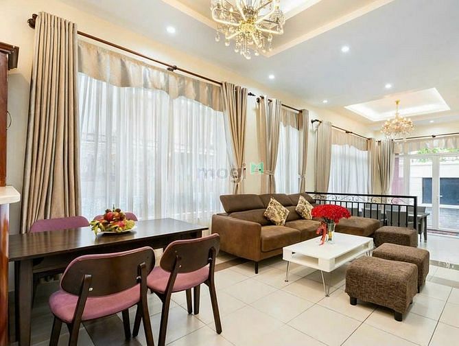 4185971 ảnh đại diện 2