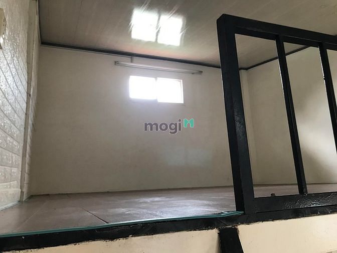 4184383 ảnh đại diện 2