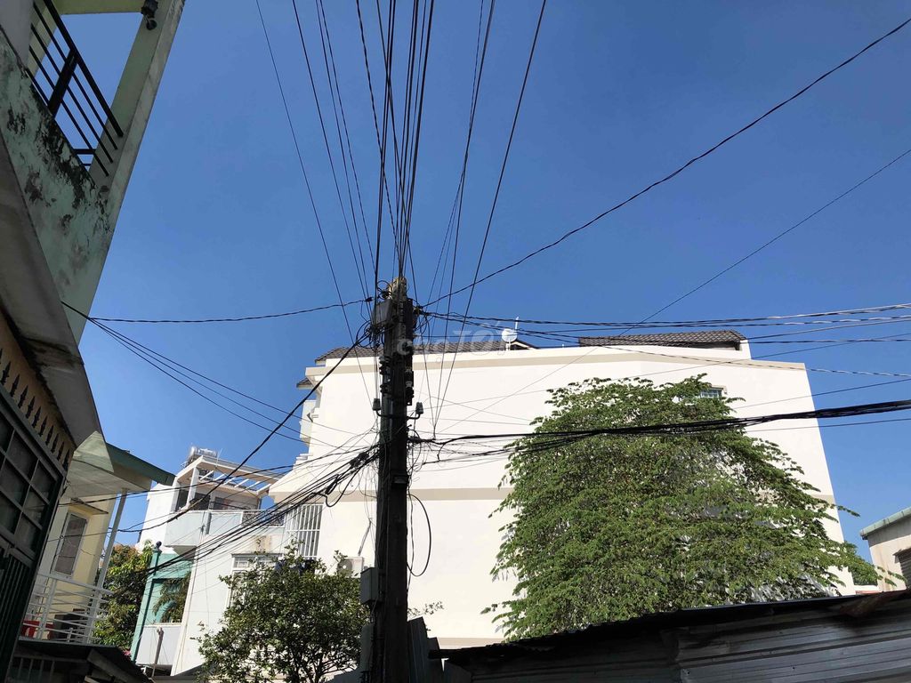 4185240 ảnh đại diện 1