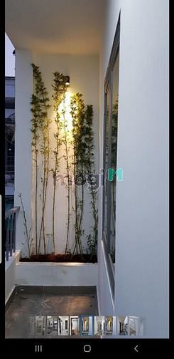 4184751 ảnh đại diện 1