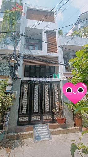 4184747 ảnh đại diện 1