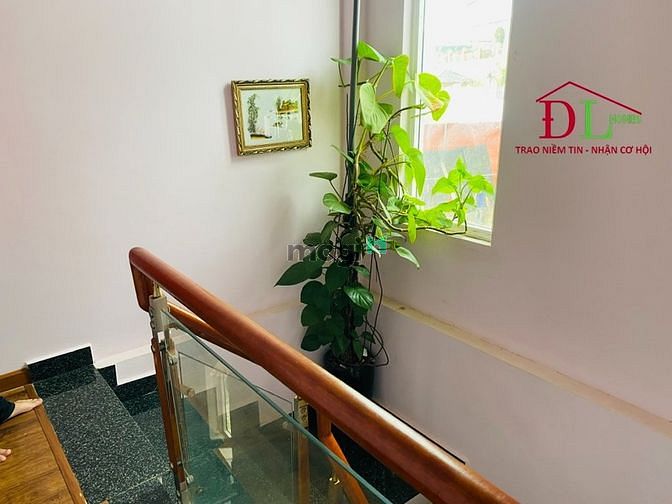 4184958 ảnh đại diện 1