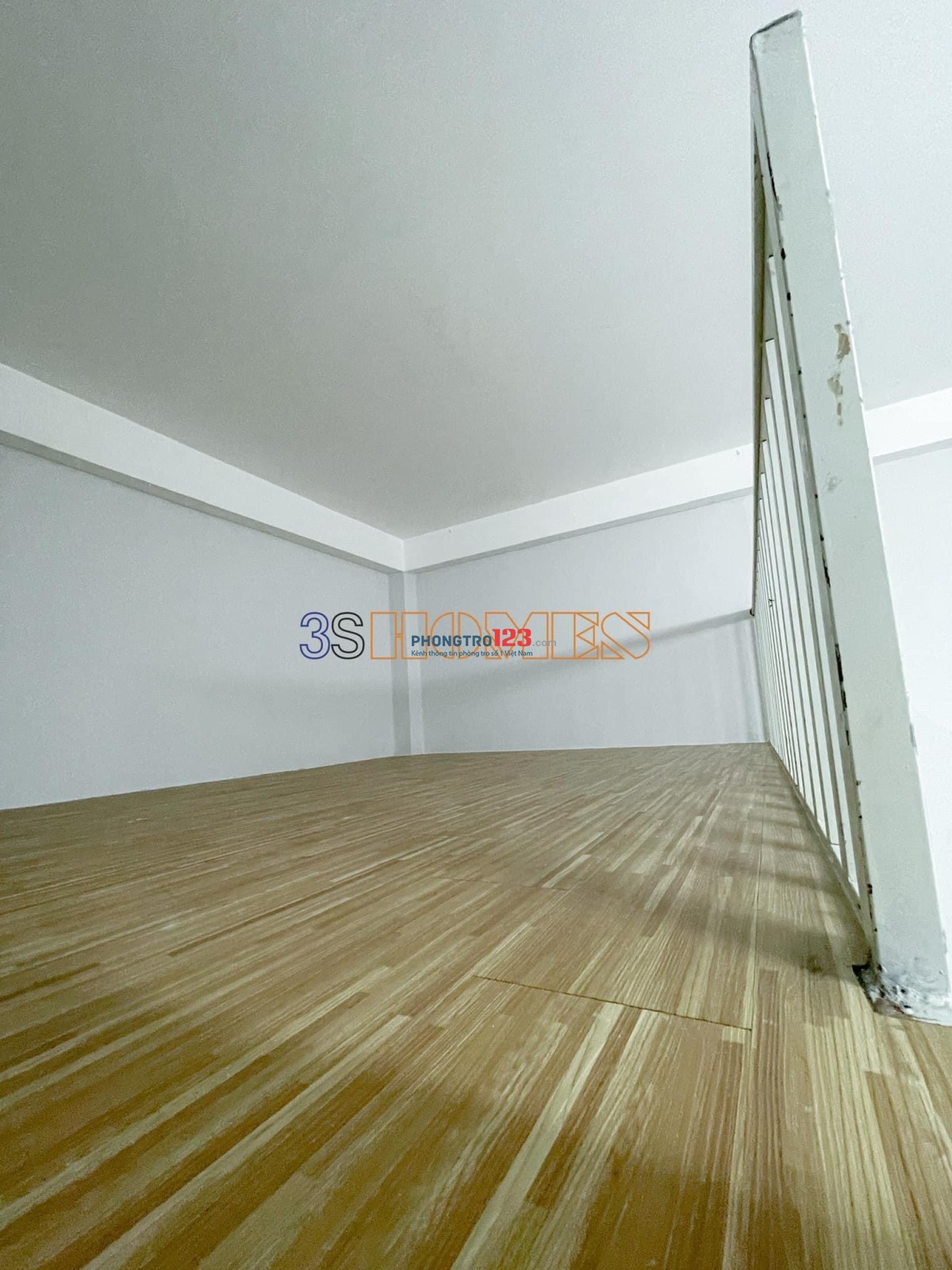 4184144 ảnh đại diện 2