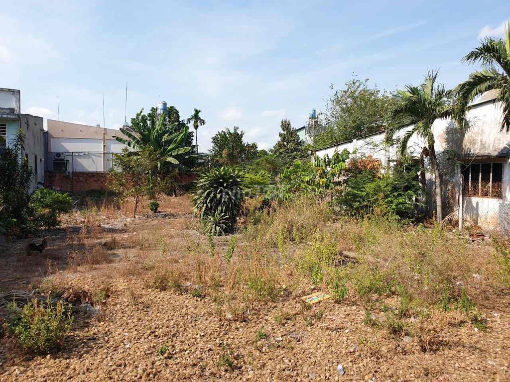 4184632 ảnh đại diện 1