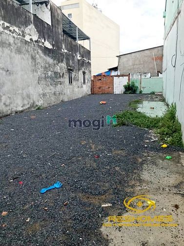 4185141 ảnh đại diện 2