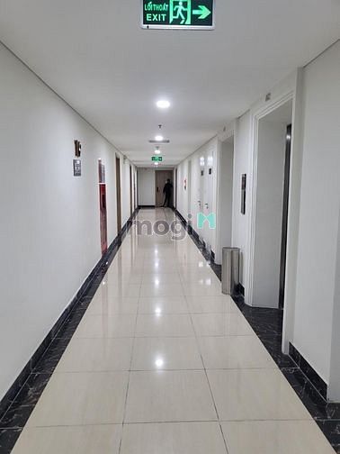 4185225 ảnh đại diện 1