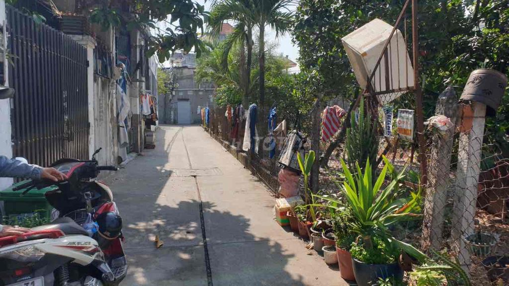 4184632 ảnh đại diện 2