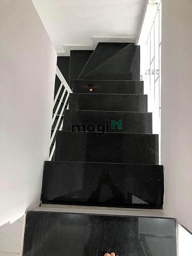 4184749 ảnh đại diện 1