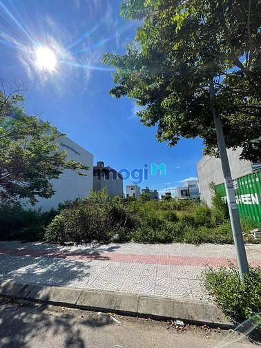 4185542 ảnh đại diện 2